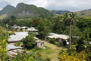 Sigatoka